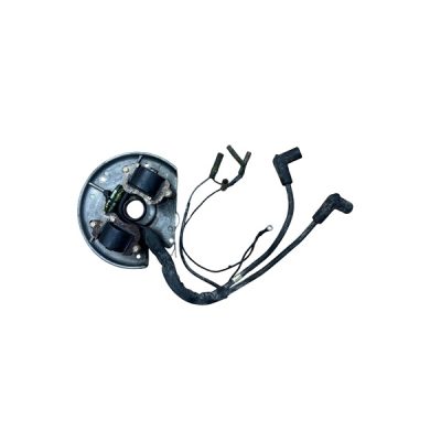 FORCE 9.9HP-15HP 2T PLATE STATOR & IGNITION MODULE ASSY P/N: 826692T, 819156T